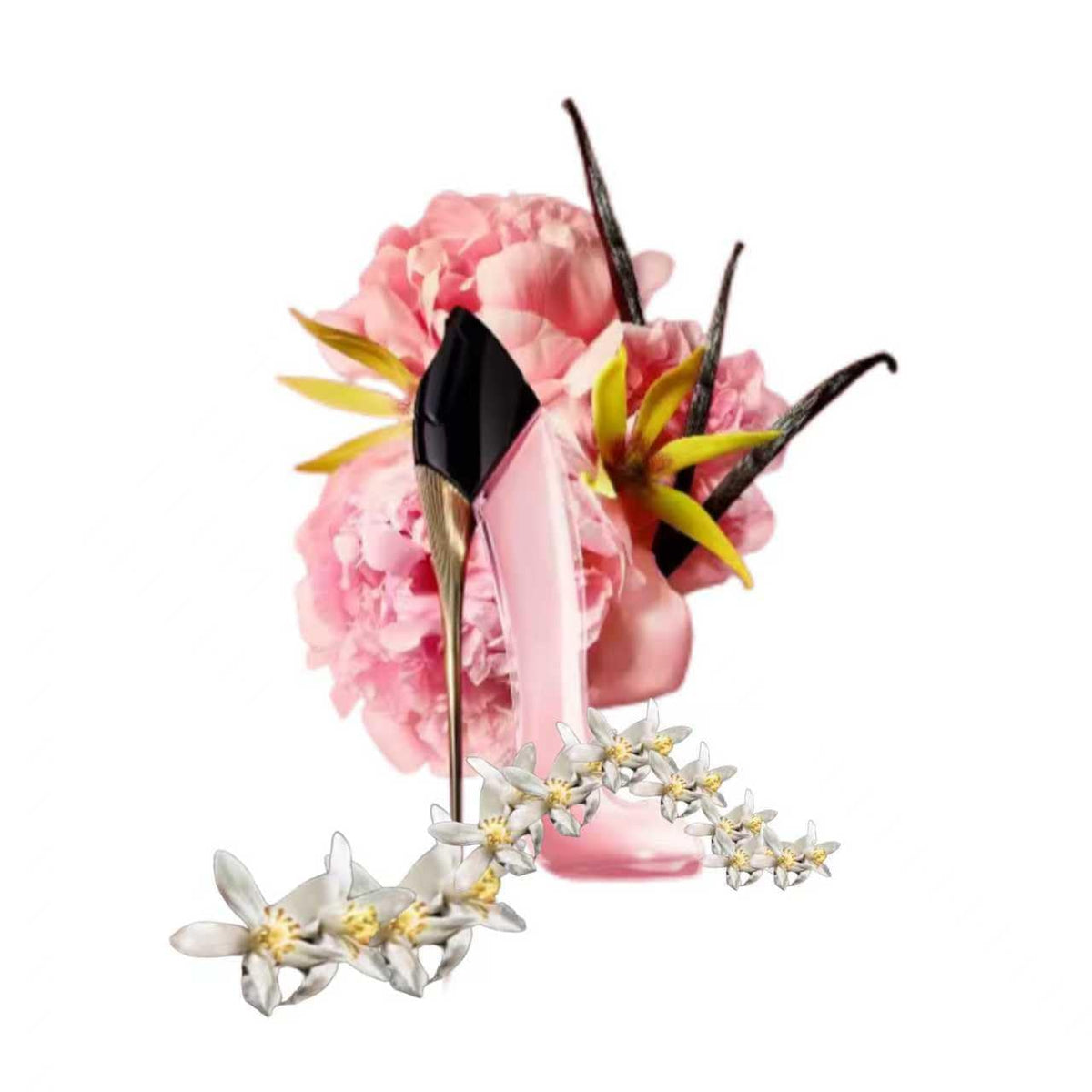 Good Girl Blush for Women S586748