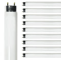 24 Inch T8 Fluorescent Tube Light Bulb 17W 4100K Cool White 2800 Lumen G13 Bi-Pin Base Pack of 10 T501