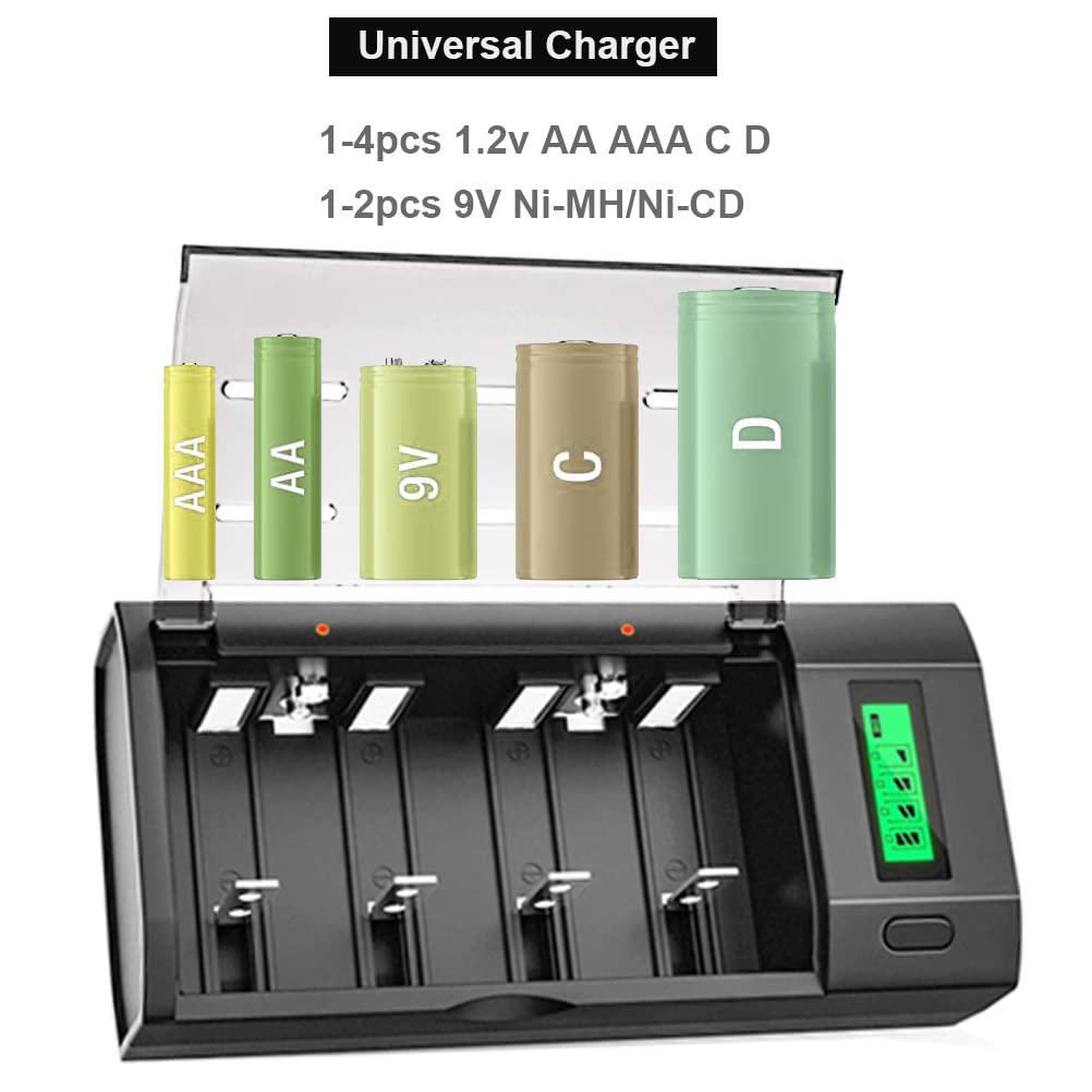 6 Pack Rechargeable D Batteries with Charger C506679