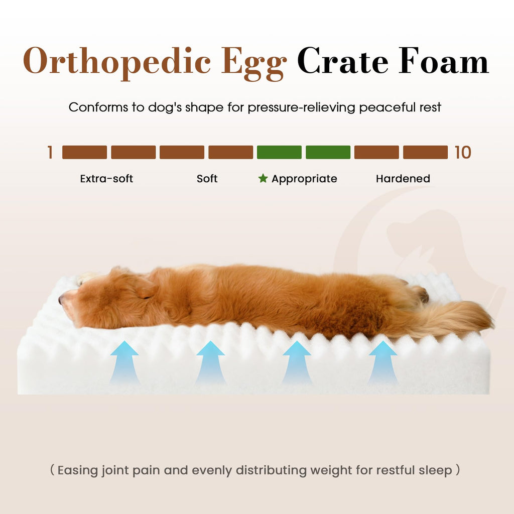 Orthopedic Foam Dog Bed with Waterproof Lining T532