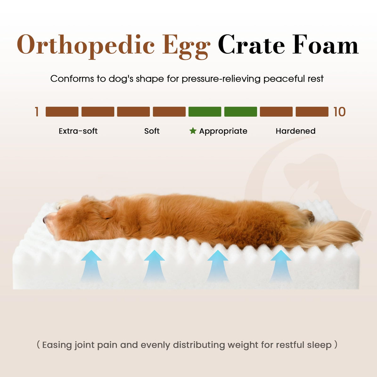 Orthopedic Foam Dog Bed with Waterproof Lining T532