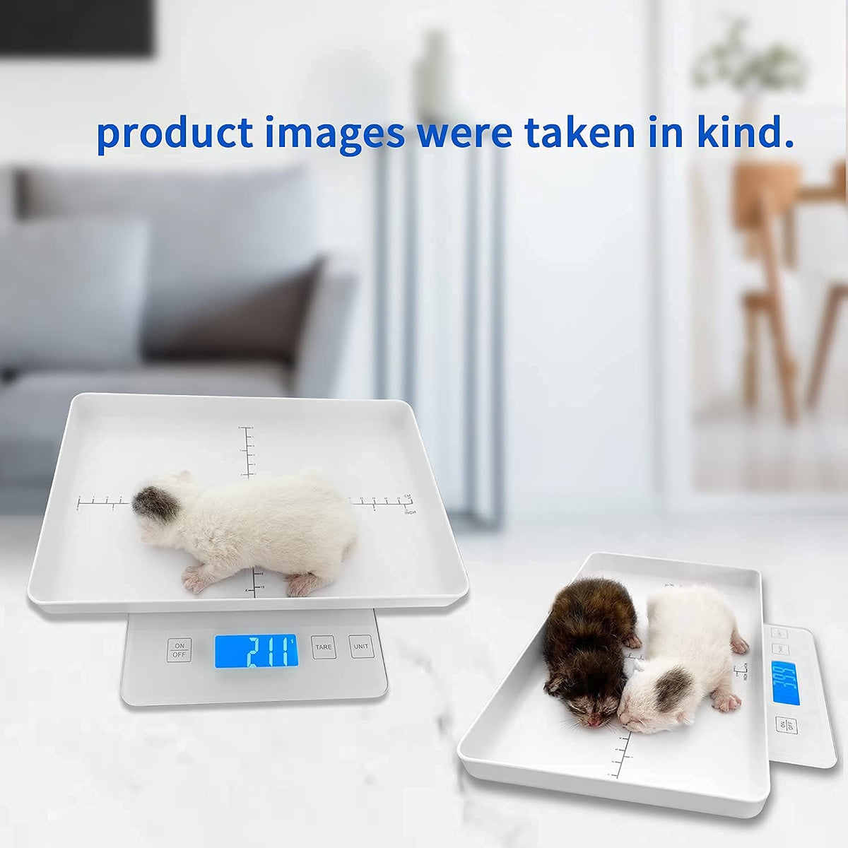 Digital Pet Scale for Small Animal, 1g Precision E6979