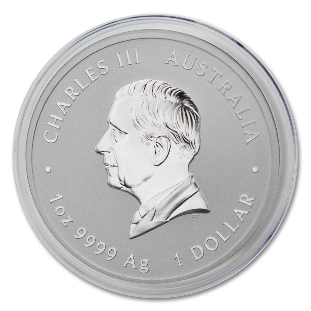 1 oz Australian Silver Lunar Year of the Snake H191287