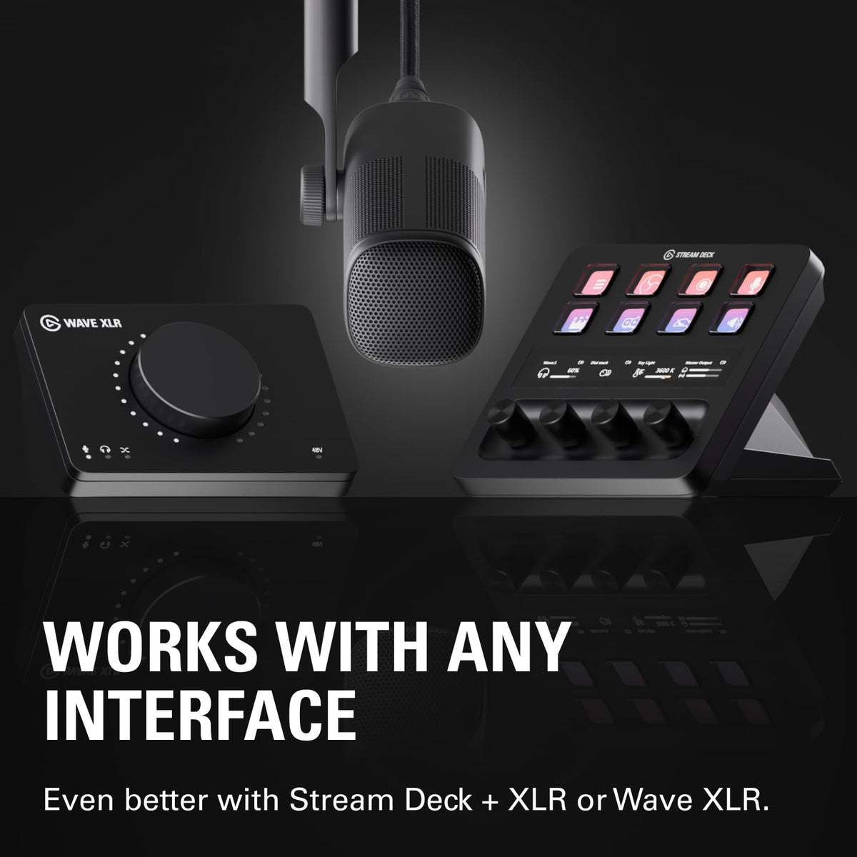 Dynamic XLR Microphone, Cardioid Pattern F25802