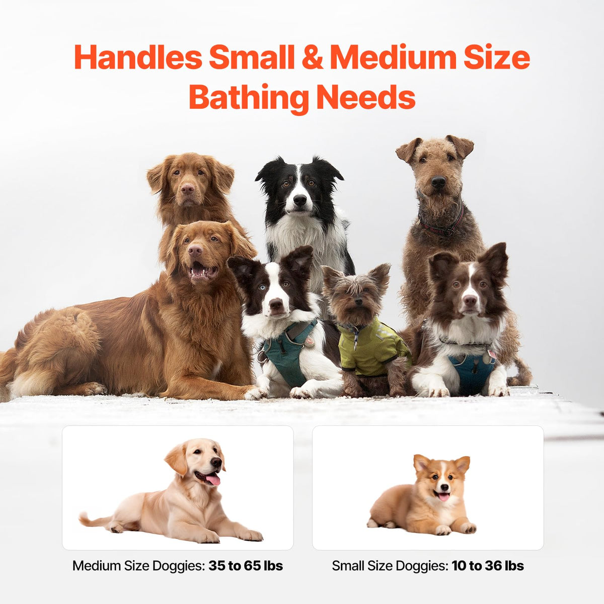 Portable Foldable Dog Bathtub with Drain W56638