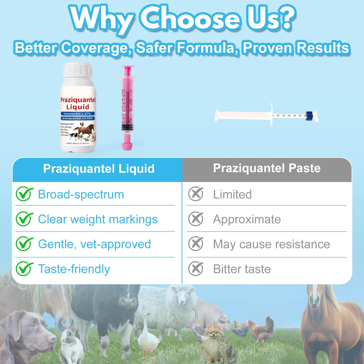 Praziquantel Dewormer 100 mL T157