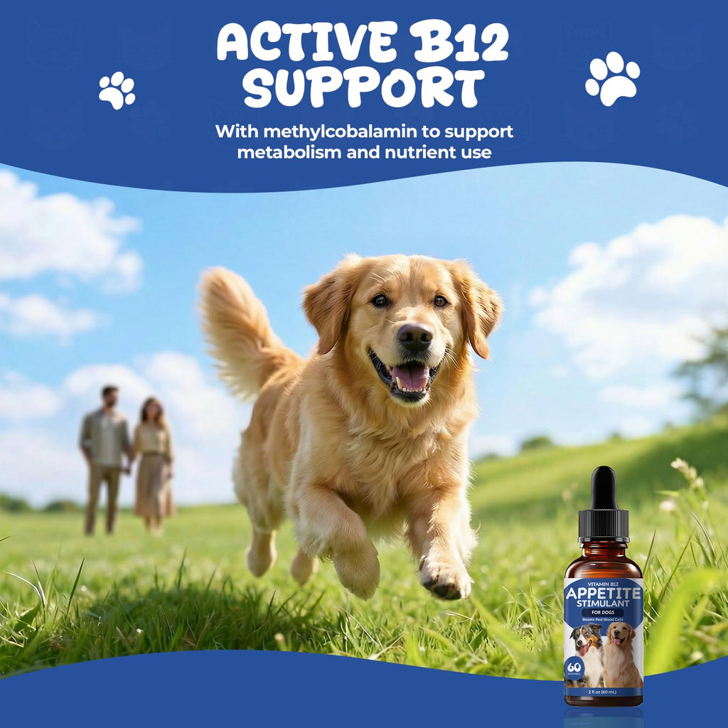 Vitamin B12 Liquid Drops with Methylcobalamin A249088