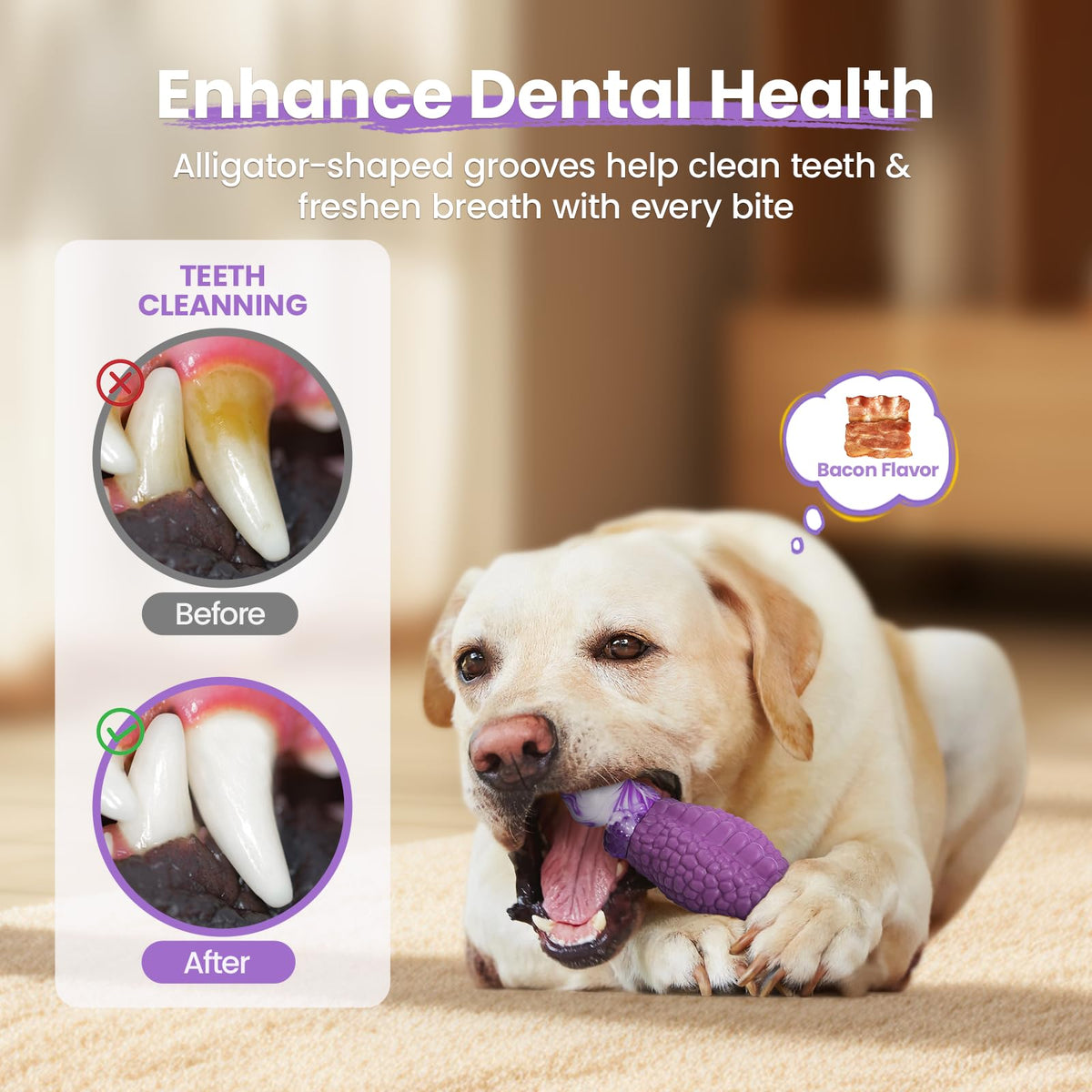 Tough Dog Toys for Aggressive Chewers C4680