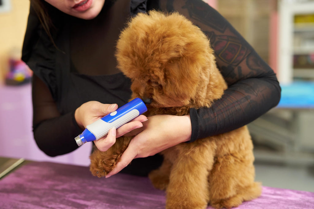 2-Speed Rechargeable Electric Pet Nail Grinder Z228