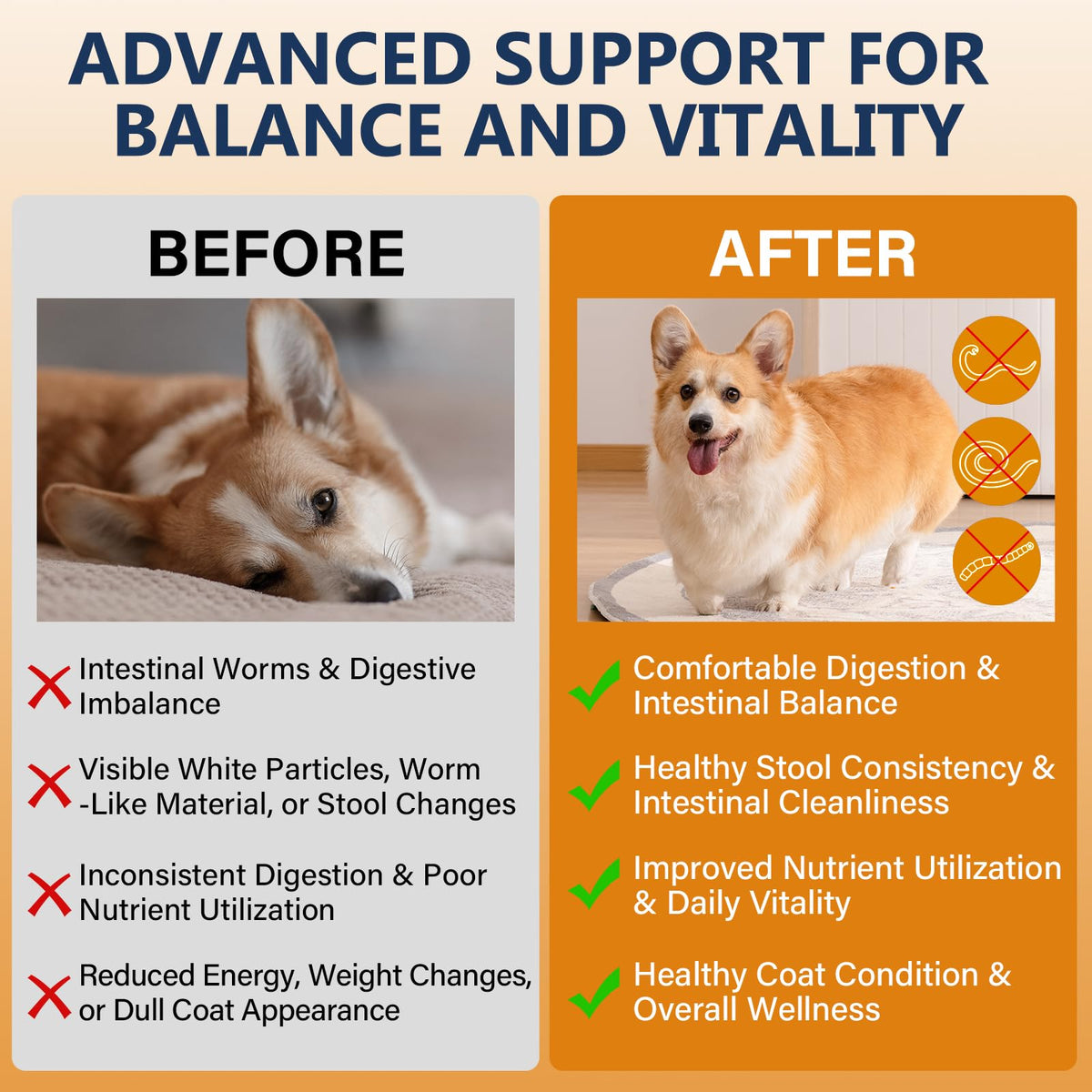 7-Way Dog Dewormer Oral Treatment 3.4 fl oz W8240