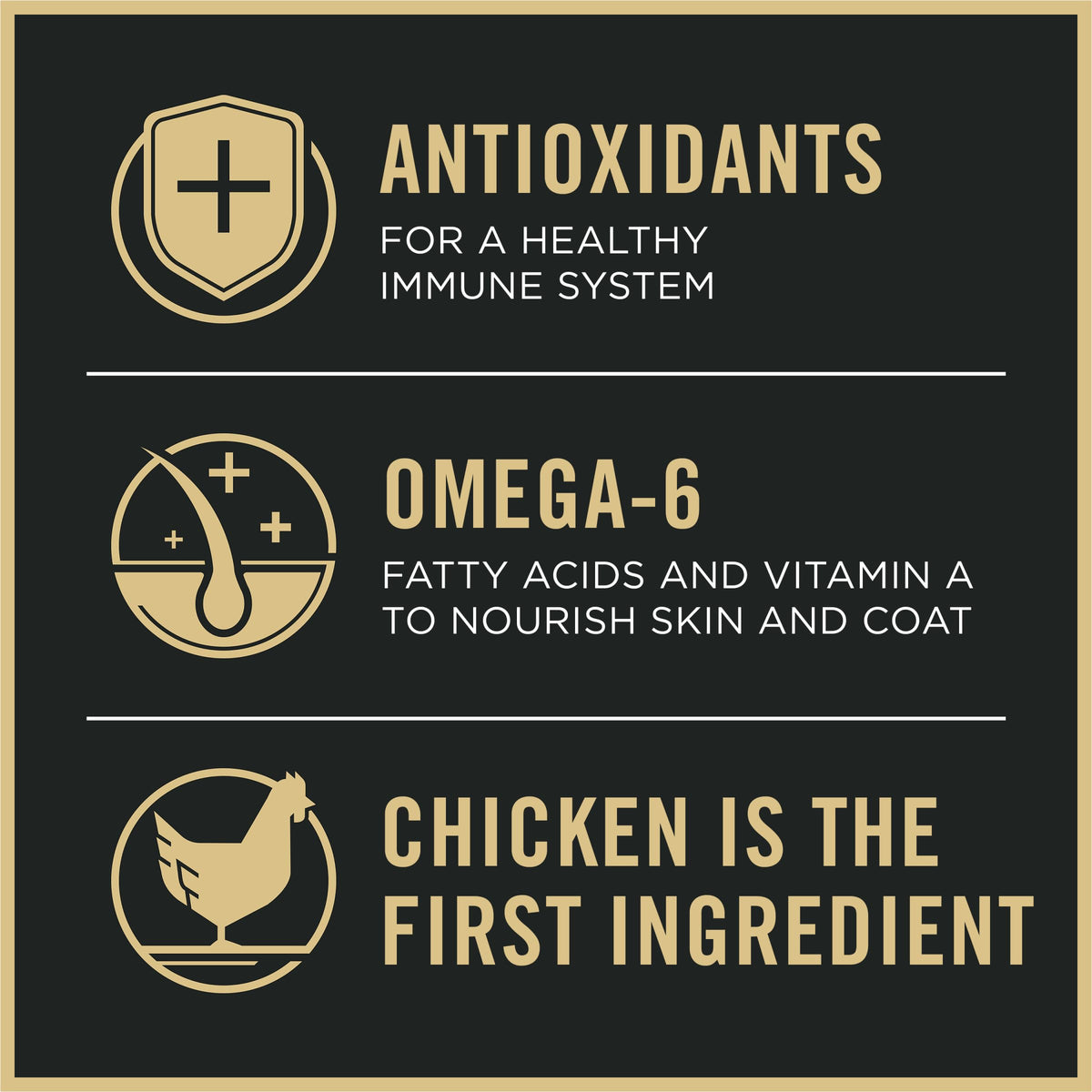 Weight Management Chicken & Rice Dry Dog Food X34512