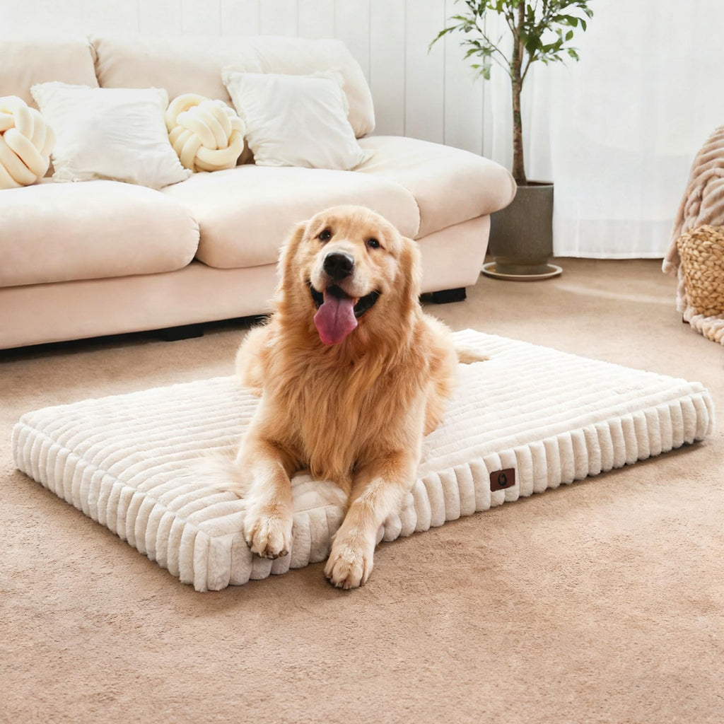 Orthopedic Foam Dog Bed with Waterproof Lining T532