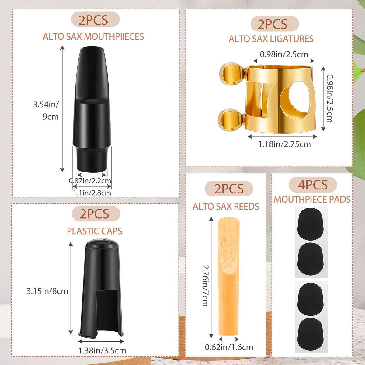 2 Set Alto Saxophone Mouthpiece Kit with 2.5 Reeds E5364