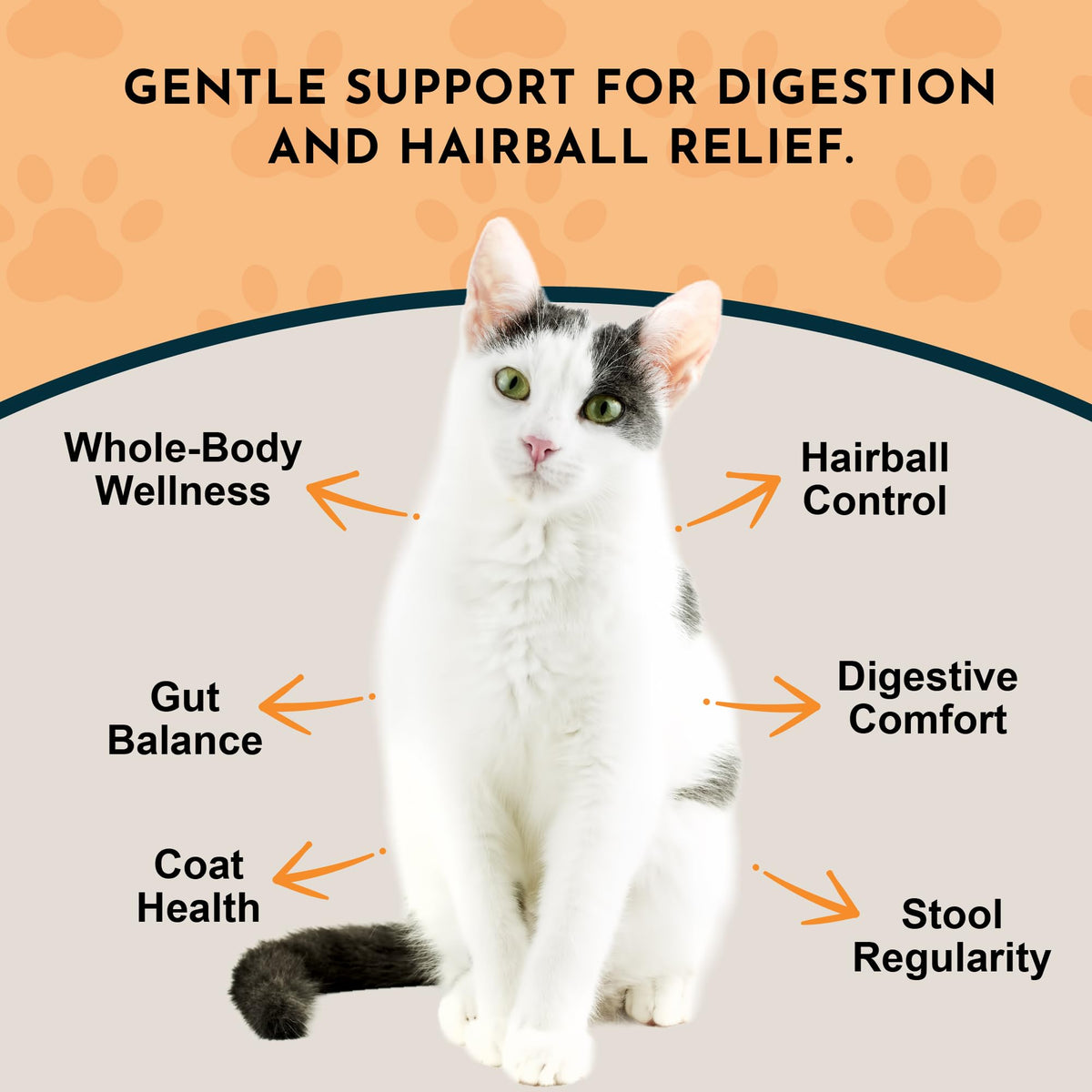 Hairball Relief Formula 1 fl Oz R384956