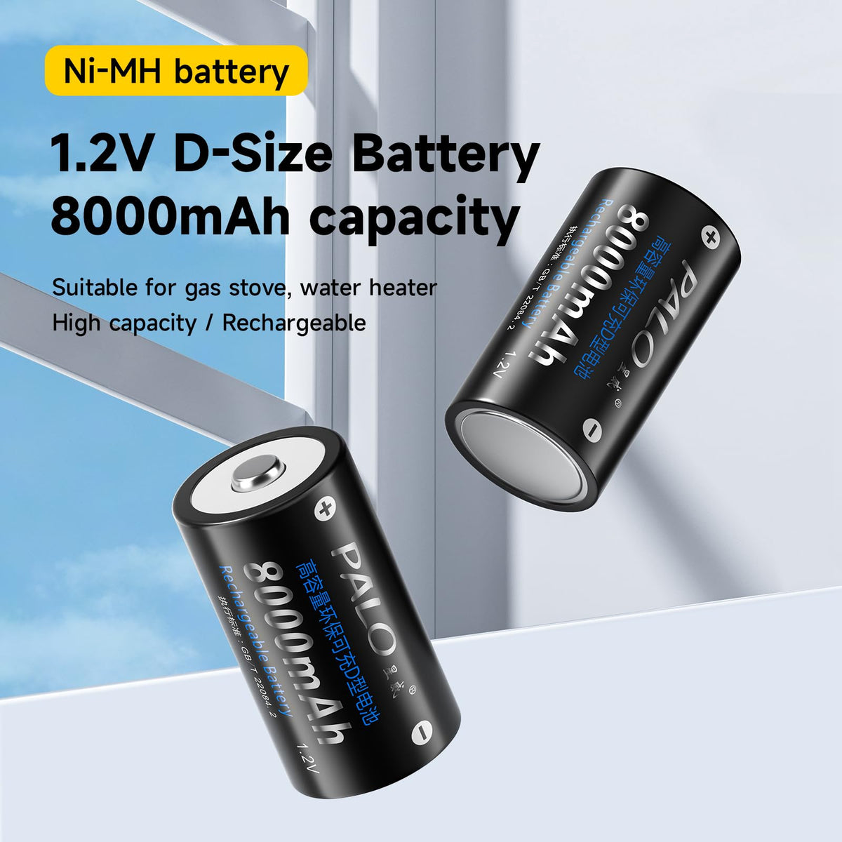 6 Pack Rechargeable D Batteries with Charger C506679