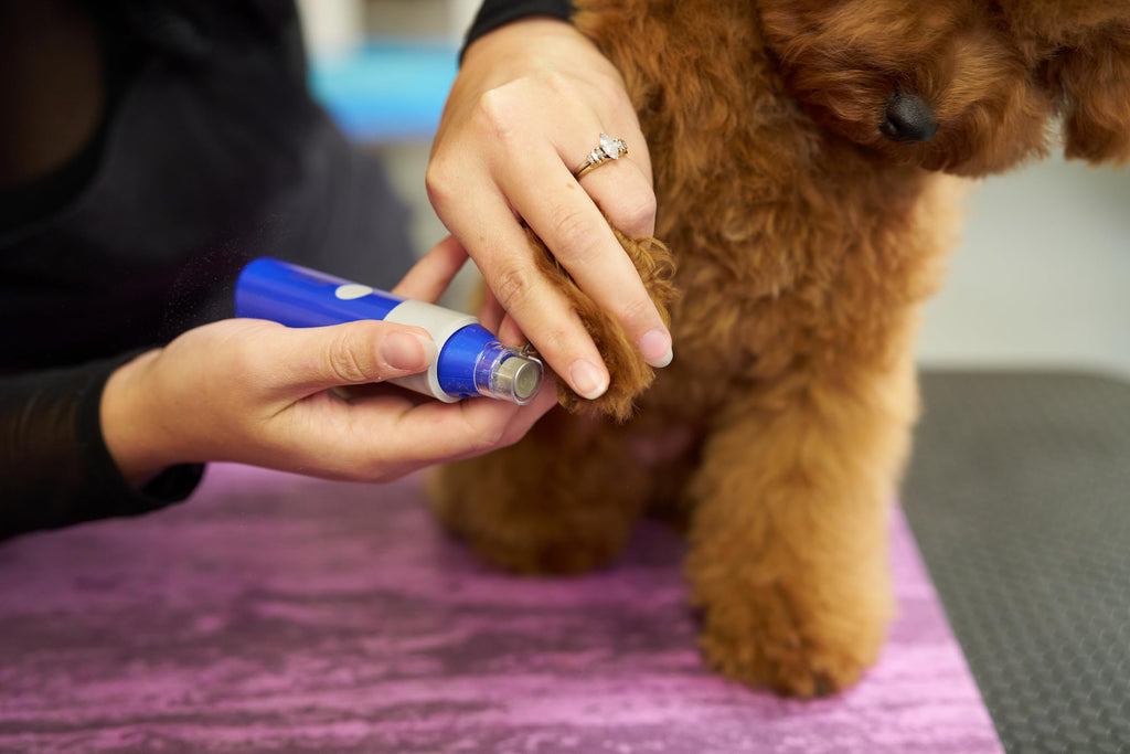 2-Speed Rechargeable Electric Pet Nail Grinder Z228
