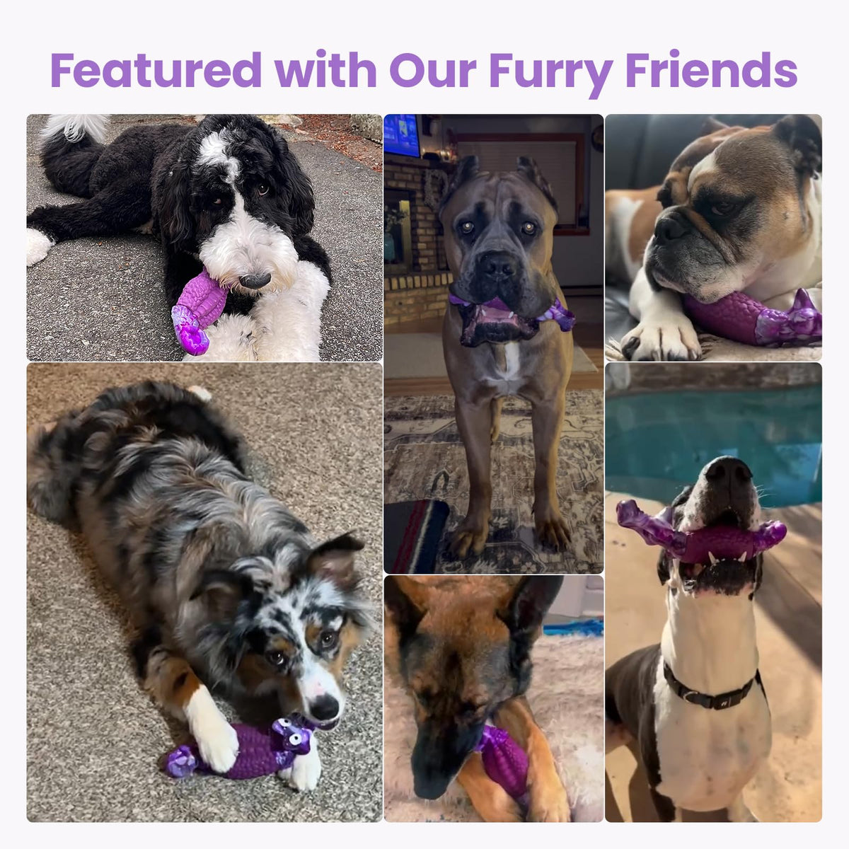 Tough Dog Toys for Aggressive Chewers C4680