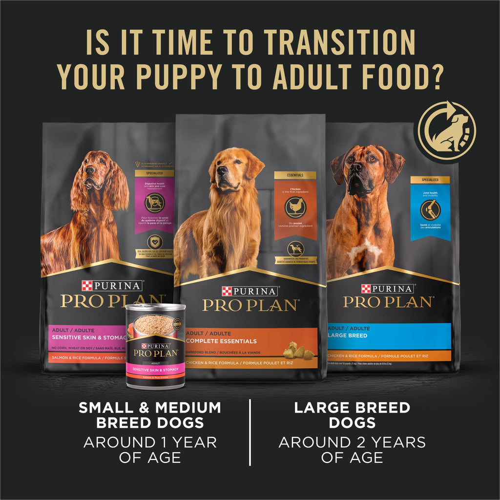 High Protein Chicken & Rice Dry Puppy Food 6 lb Bag X139451