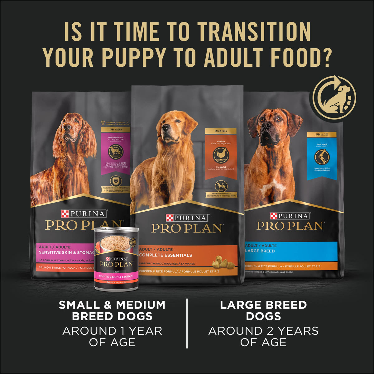 High Protein Chicken & Rice Dry Puppy Food 6 lb Bag X139451