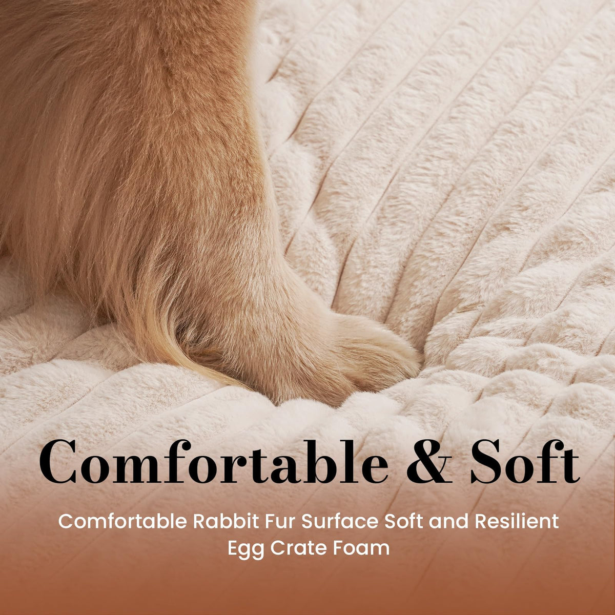Orthopedic Foam Dog Bed with Waterproof Lining T532