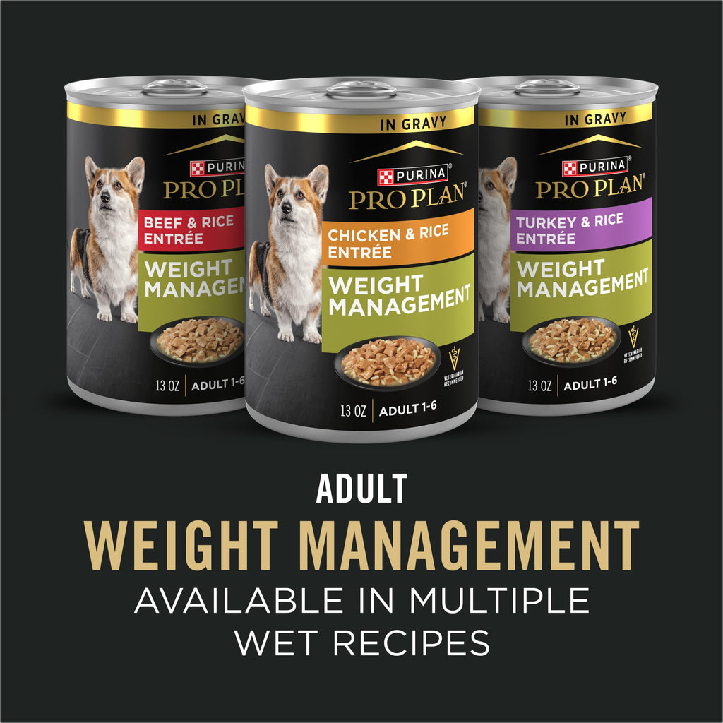 Weight Management Chicken & Rice Dry Dog Food X34512