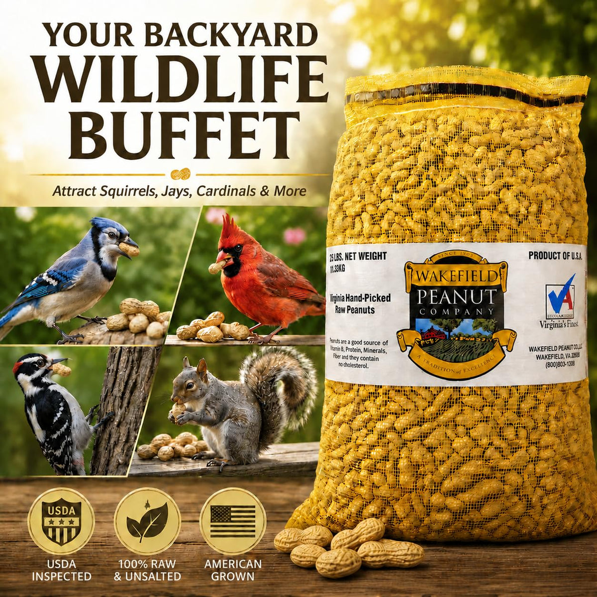 In-Shell Peanuts 25 LB Bag Y36285