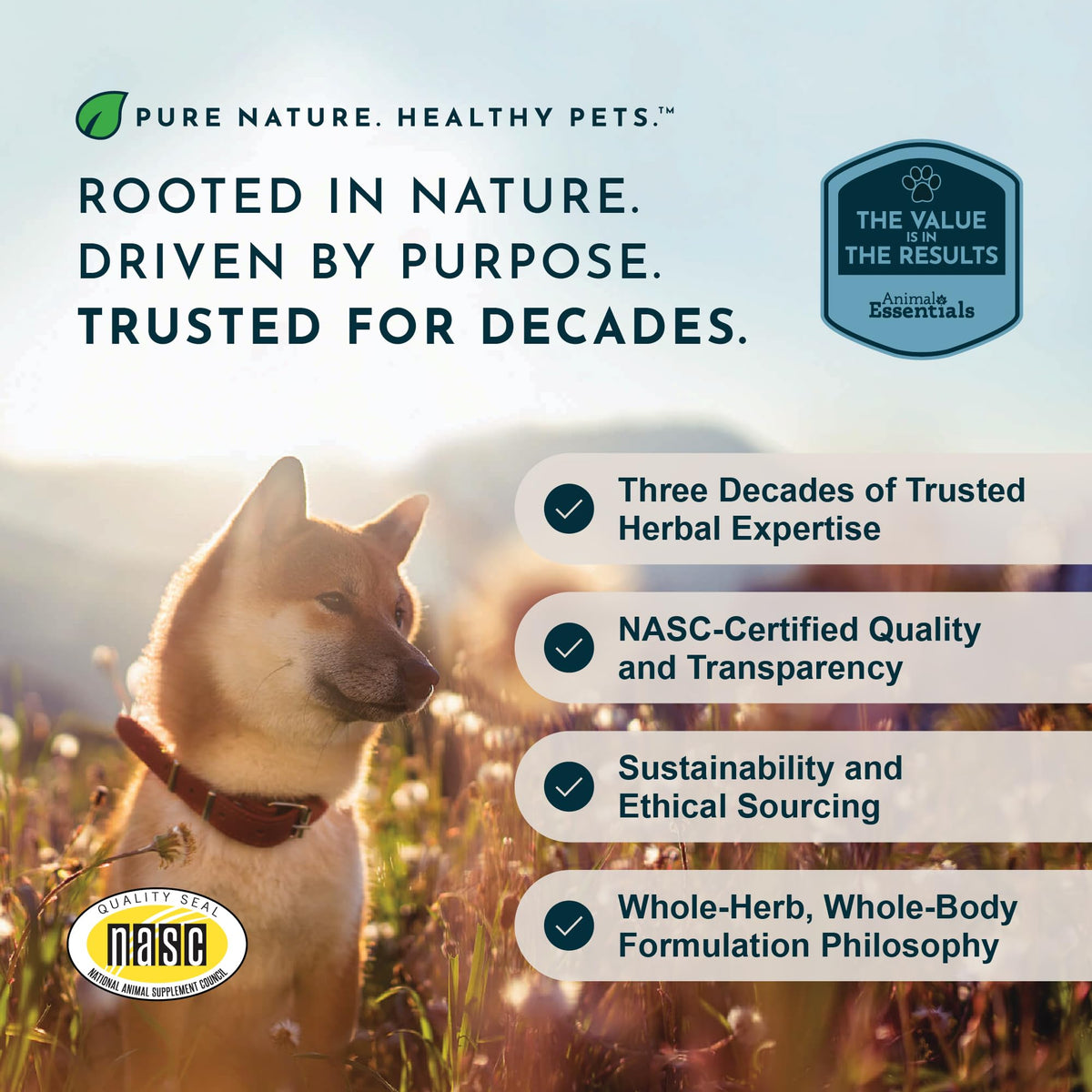 Hairball Relief Formula 1 fl Oz R384956