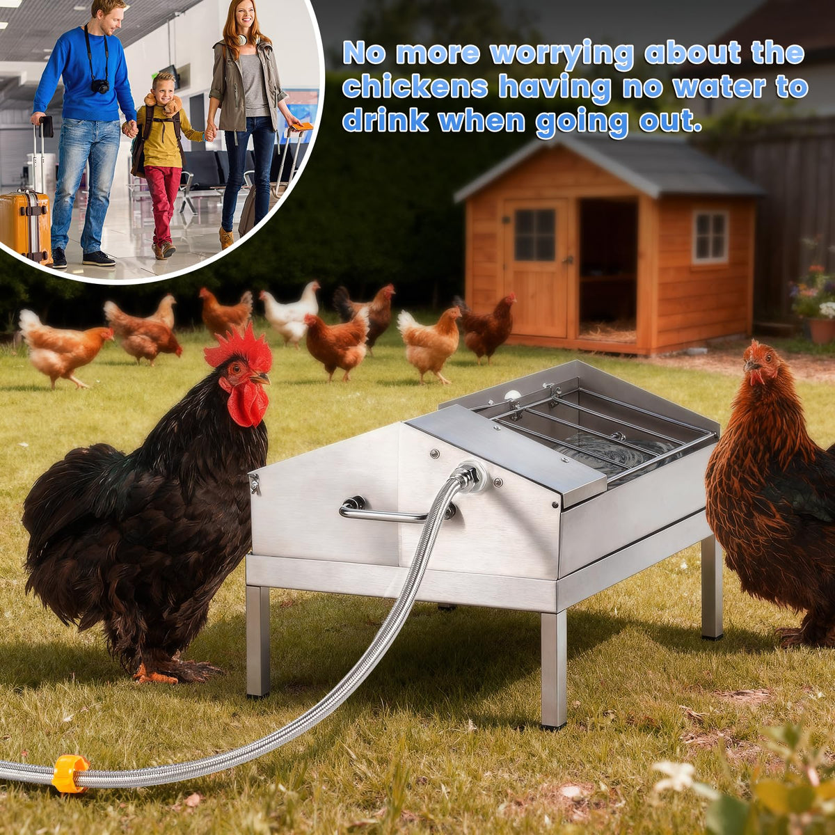 Automatic Chicken Waterer and Feeder Set Y823