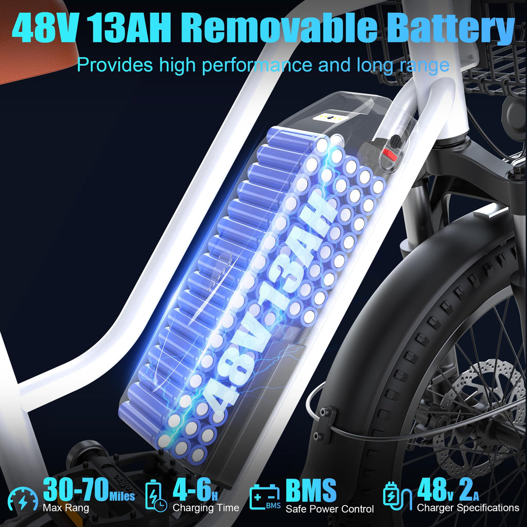 1000W 48V 13Ah Electric Bicycle with Rear Seat and Front Basket J953