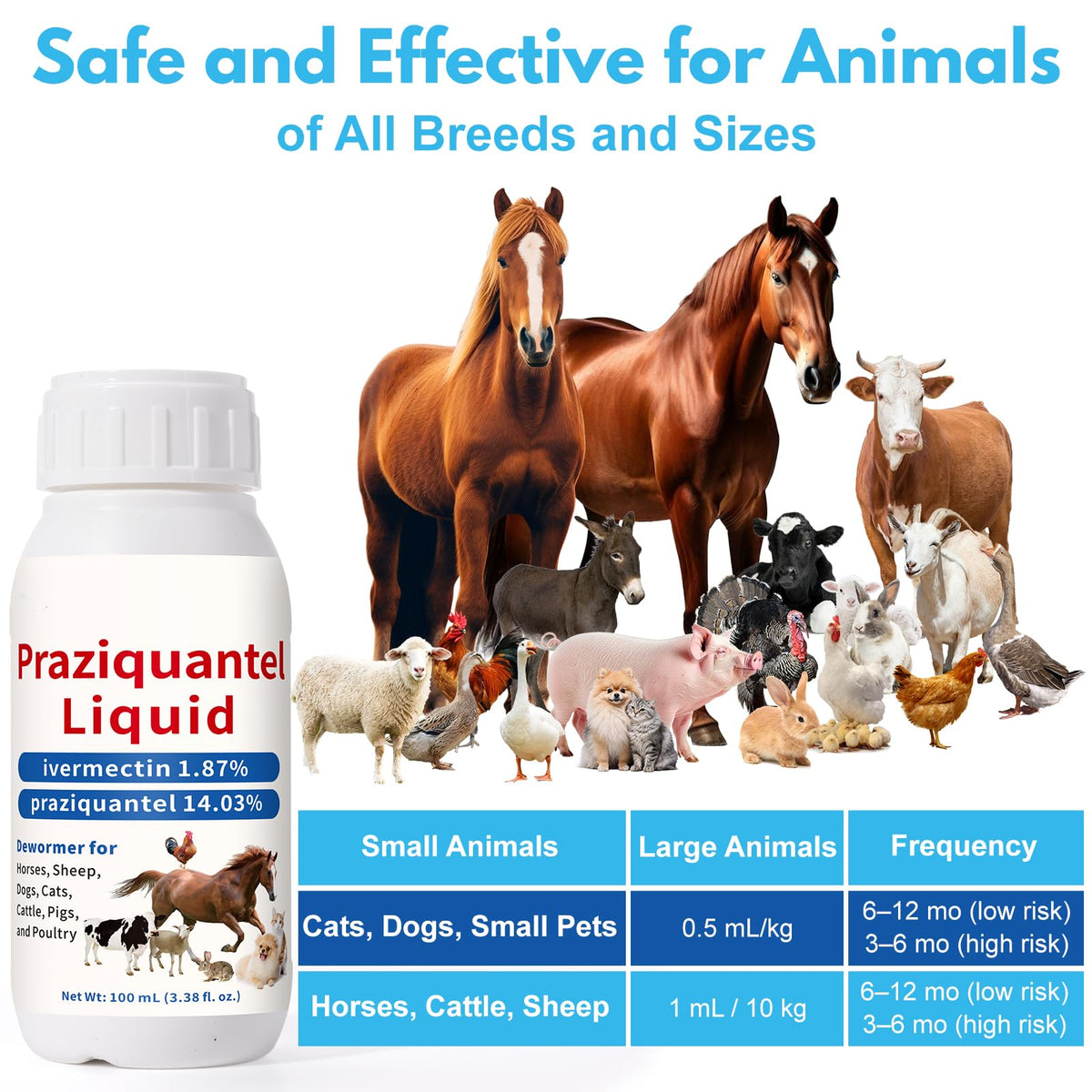 Praziquantel Dewormer 100 mL T157