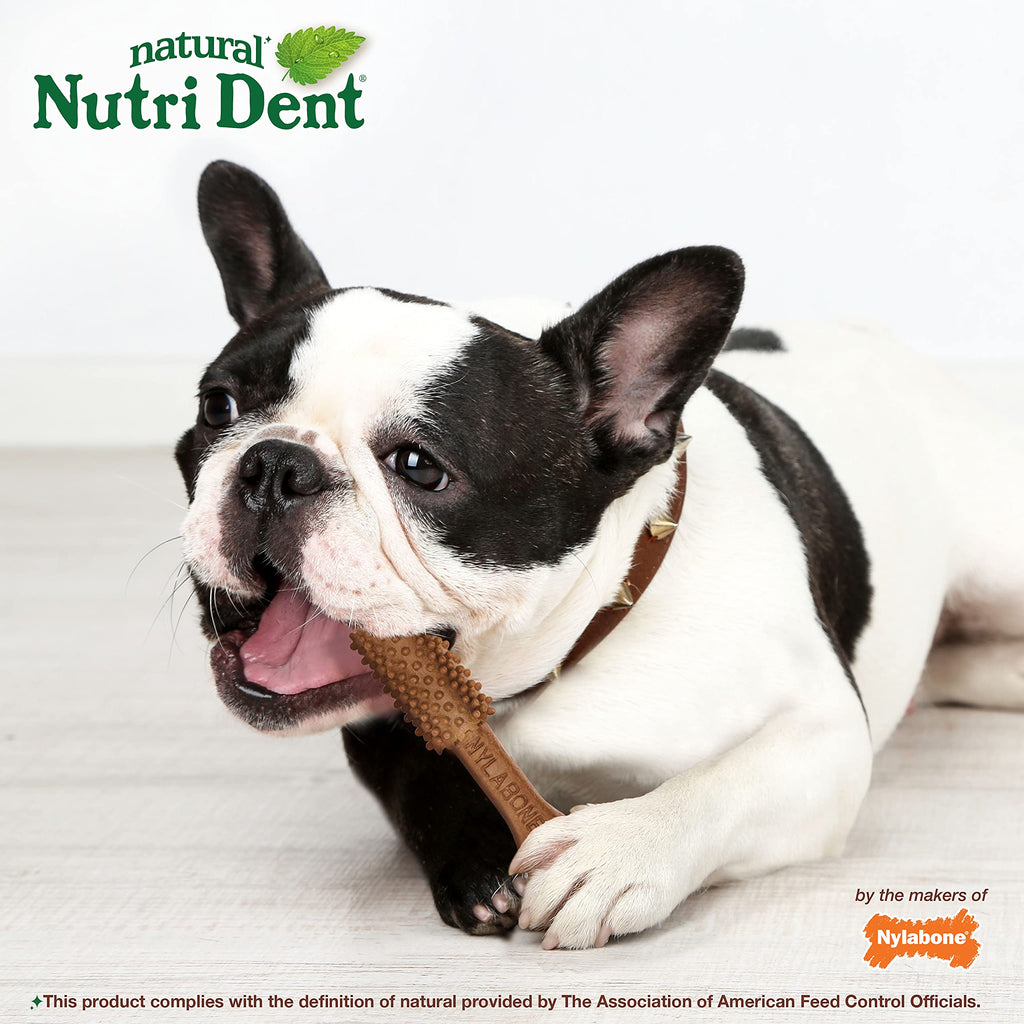 Filet Mignon Flavor Dog Dental Treats 40 Count U3484
