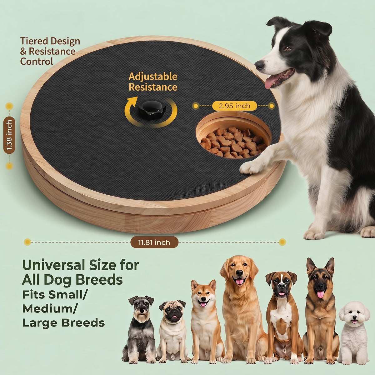 Rubberwood Adjustable Dog Nail Scratch Board with Treat Box V333