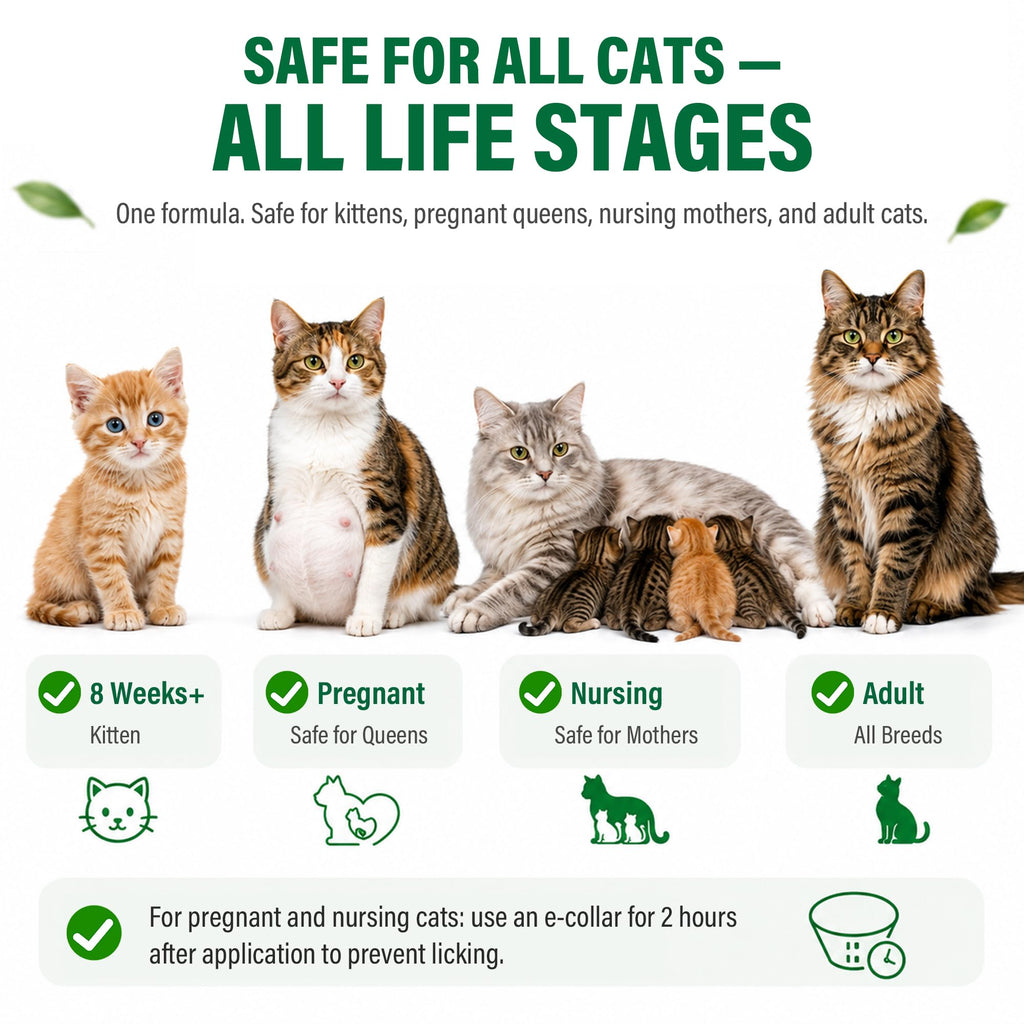 Flea and Tick Drops for Cats 6 Pack C456