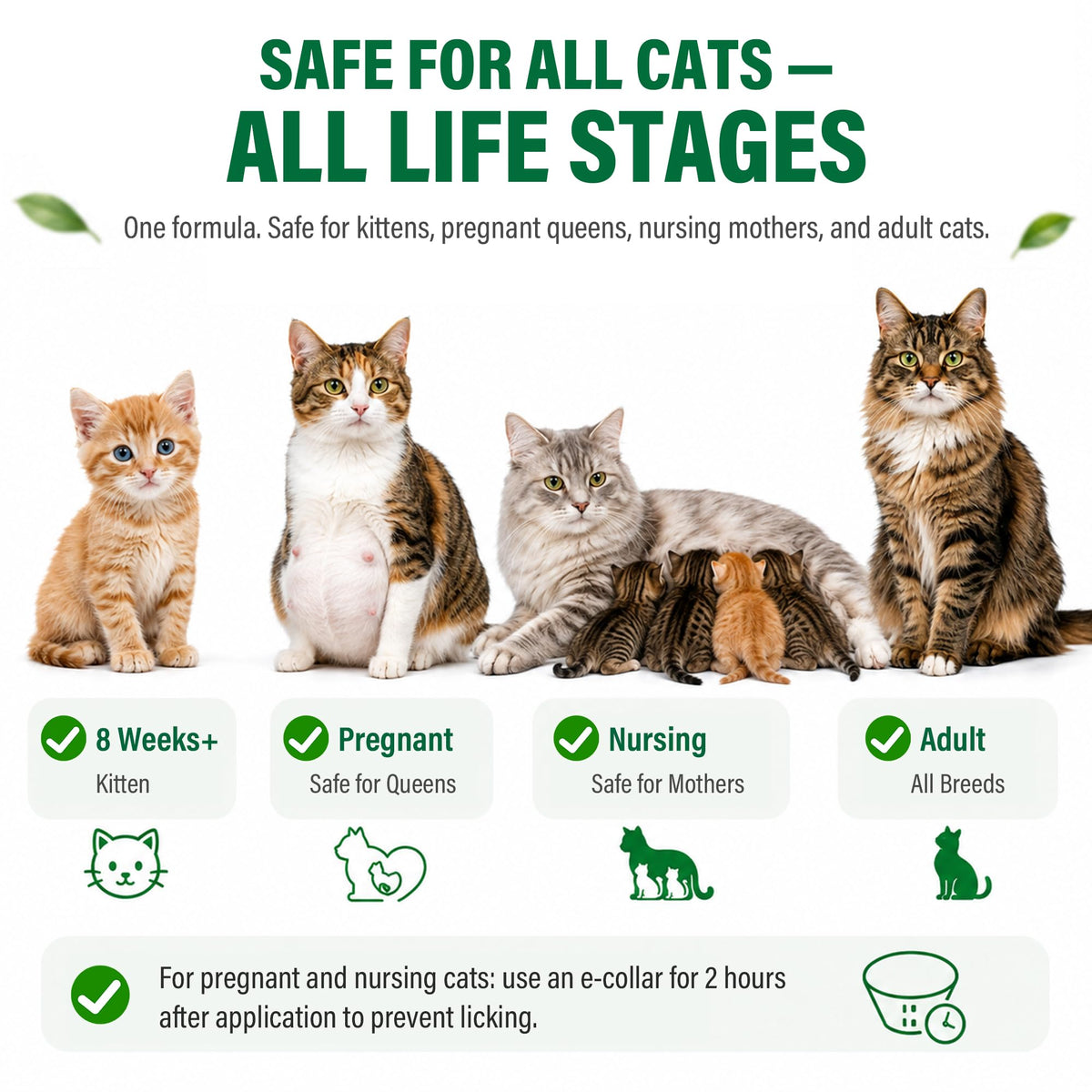 Flea and Tick Drops for Cats 6 Pack C456