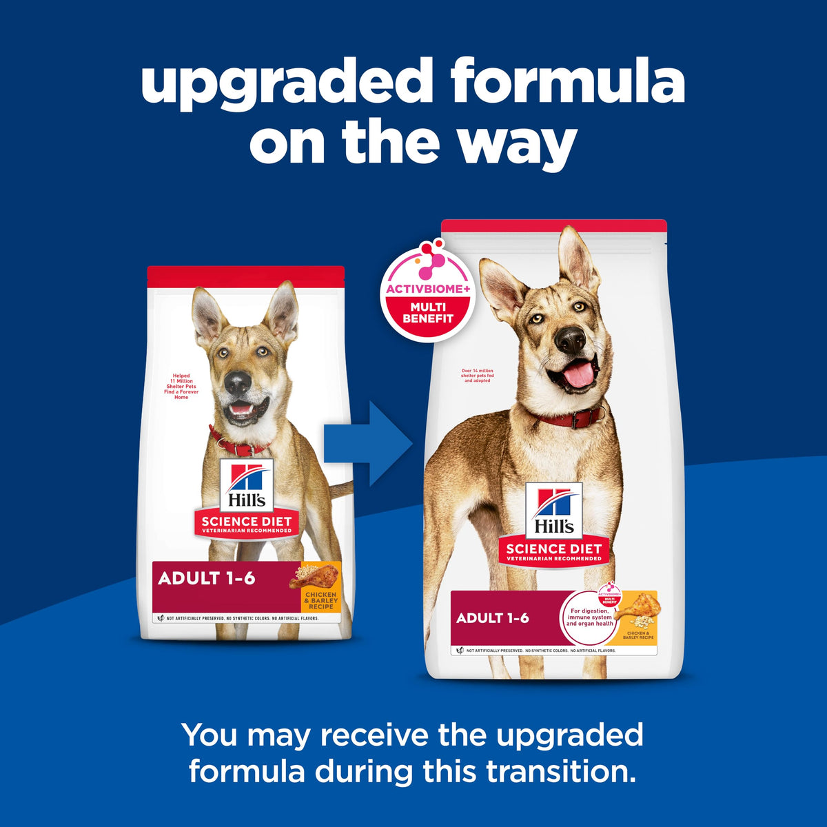 Dry Dog Food C884