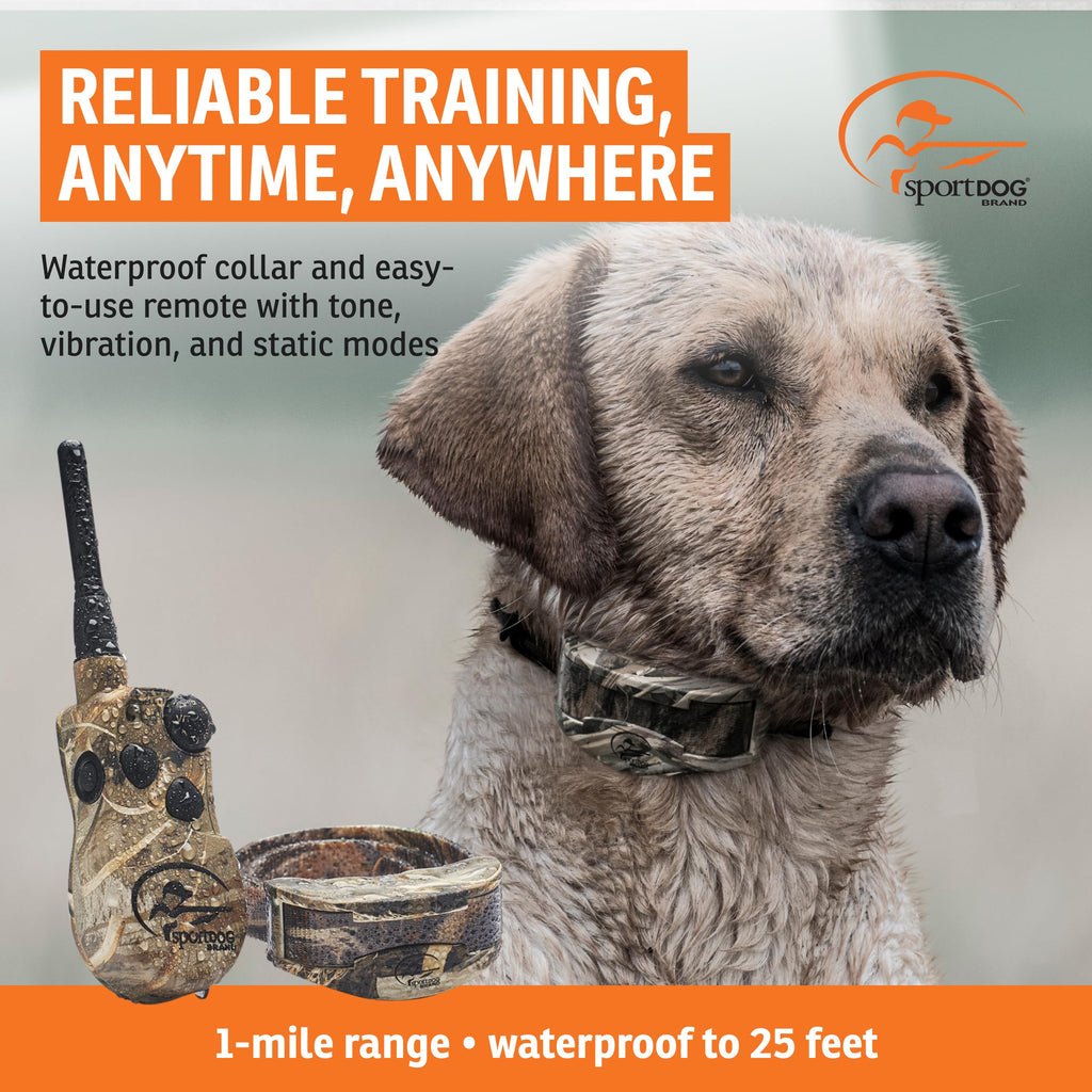 Remote Trainer 1 Mile Range 21 Static Levels S291