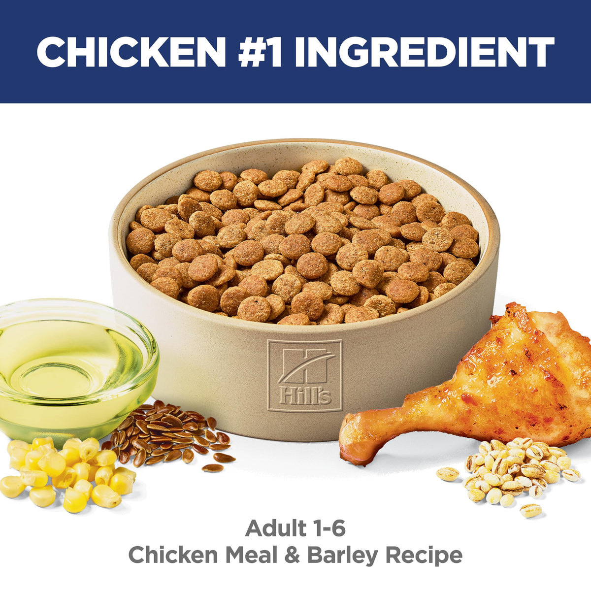 Dry Dog Food C884